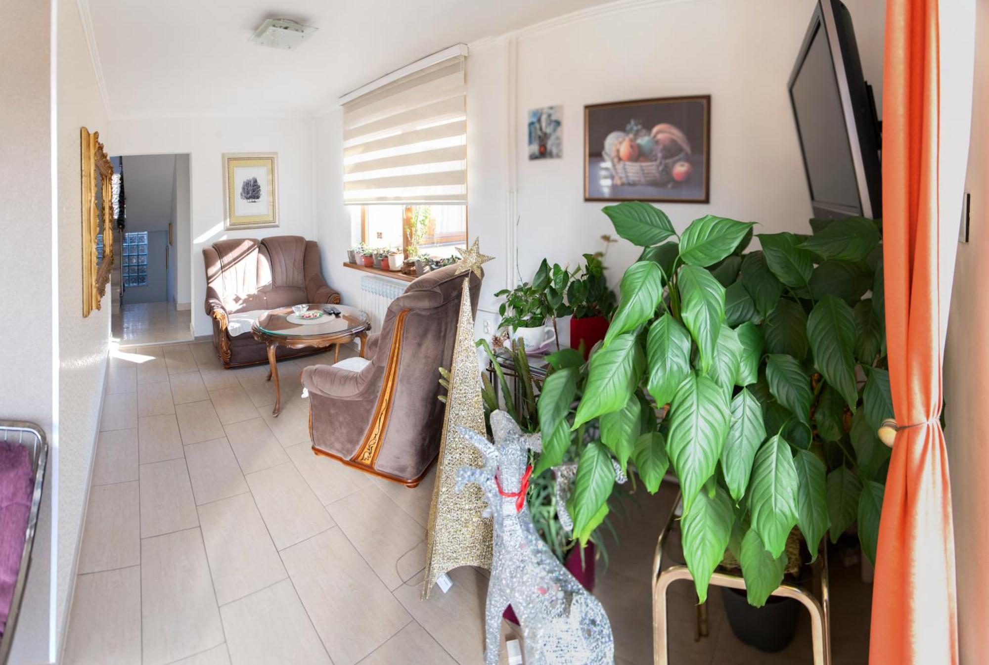 Guest House Ciro SJJ Exterior foto